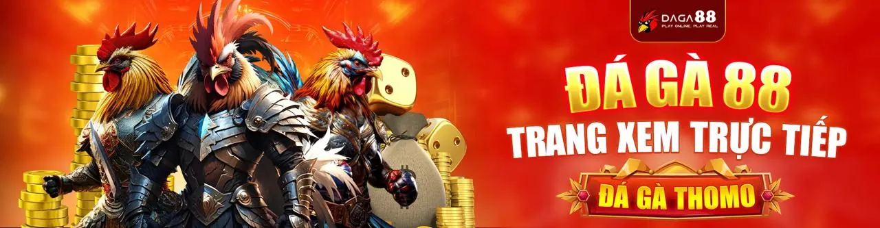 Hình ảnh hỗ trợ khách hàng D9bet nhà cái