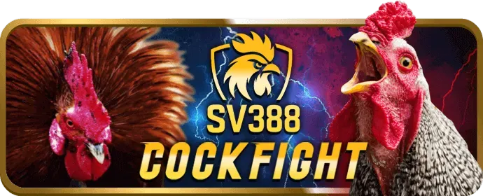 Chương Trình VIP D9bet